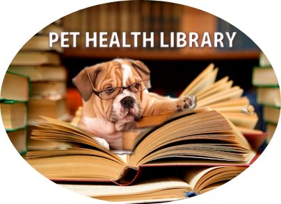 Pet Health