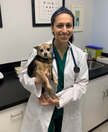 Team – Hillcrest Animal Clinic Team – Hillcrest Animal Clinic